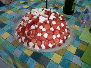 IMG00175-20130623-1424